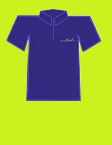 Display Picture