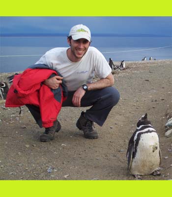 Penguins