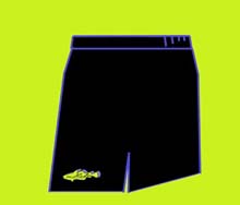 Mesh Shorts